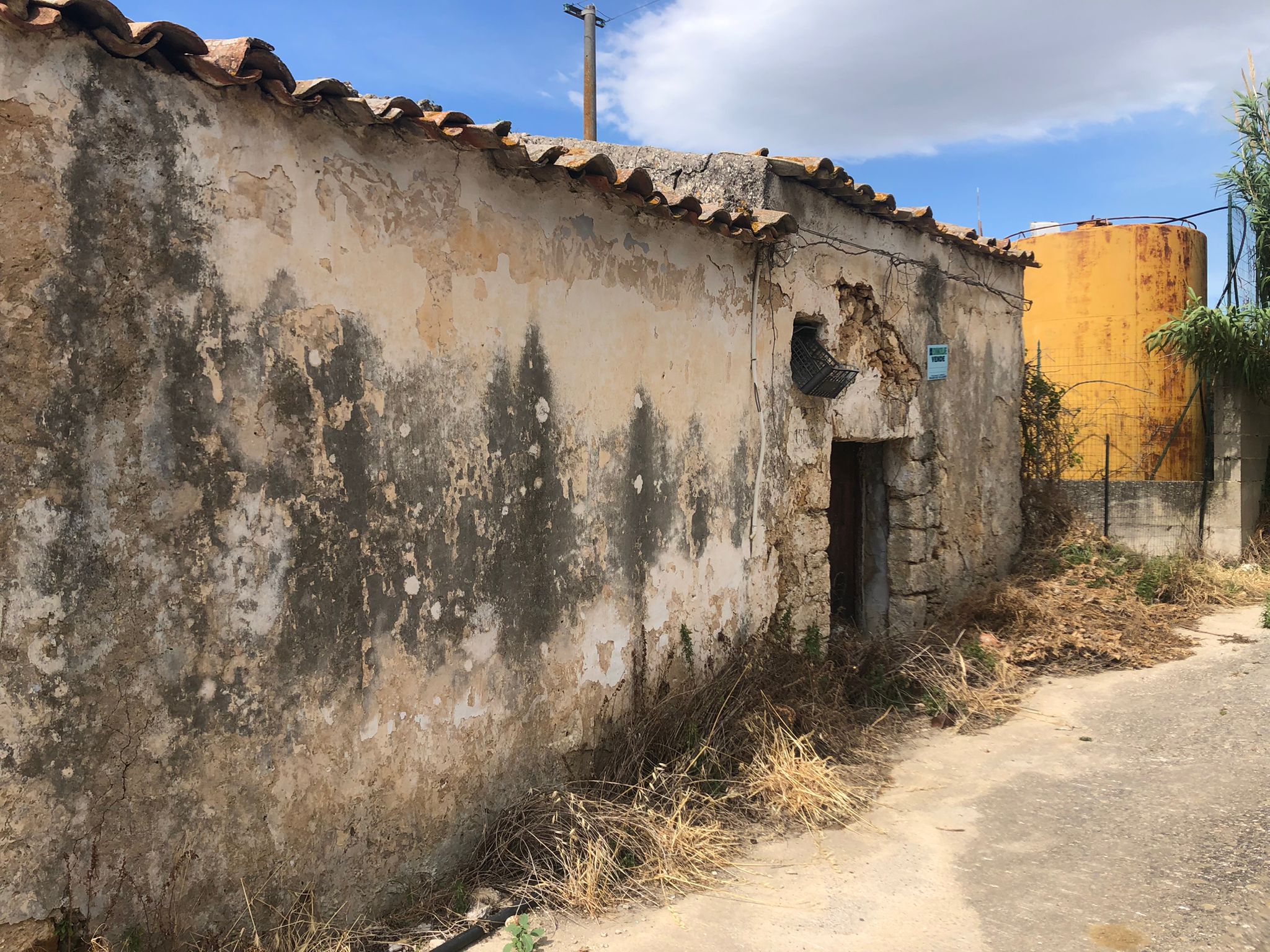 CONTRADA PALMA, ,Rustico / Casale,Vendita,CONTRADA PALMA,1550